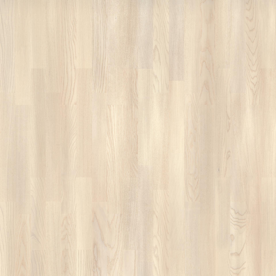 Jasen svilenkasto bijeli