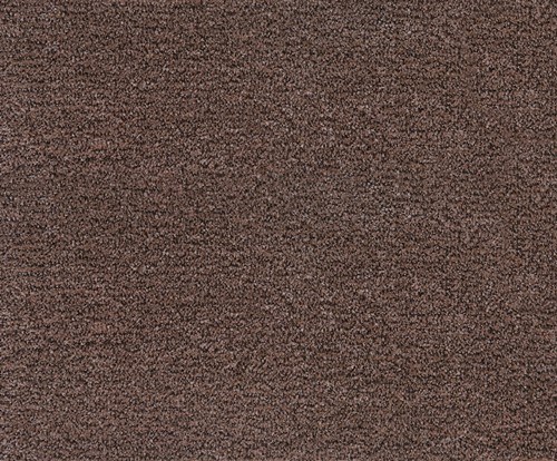 Dragon termo čok.braon