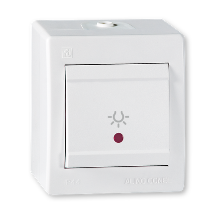 255I.00 TAST.SKL.10AX250V IP44