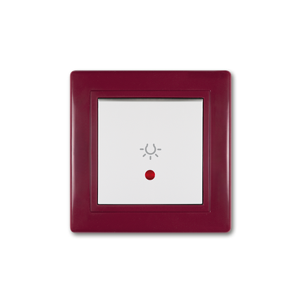 609I.330 TAST.SKL.S.10/250 BOR