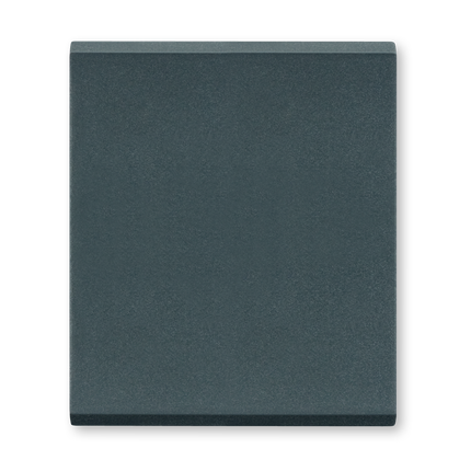 6572.A SKLOP.NAIZM.ANTR.TASTER